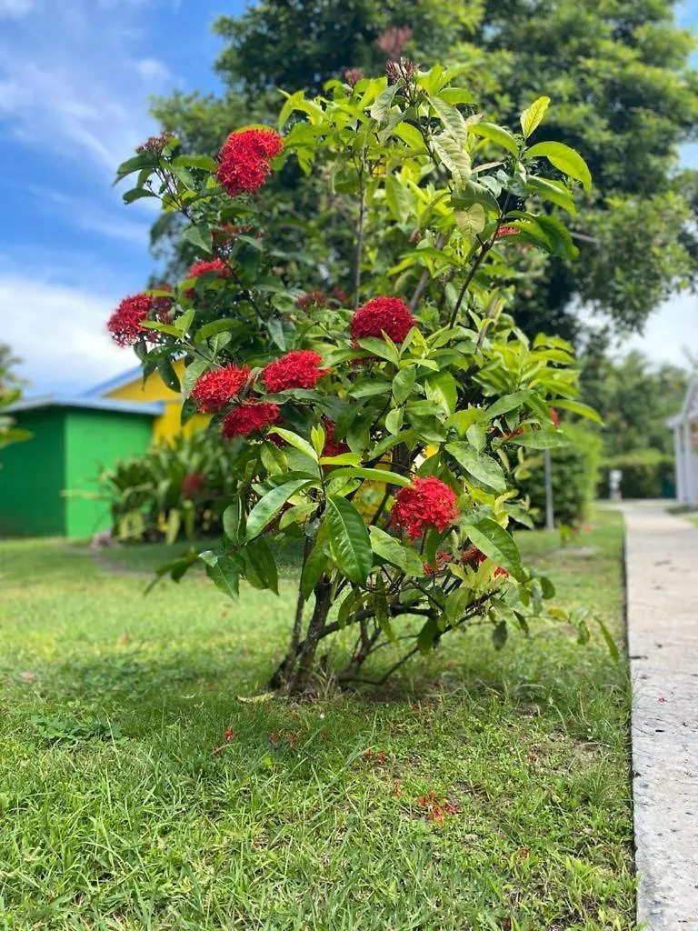 **  Hotel Le Rotabas Sainte-Anne  Guadeloupe
