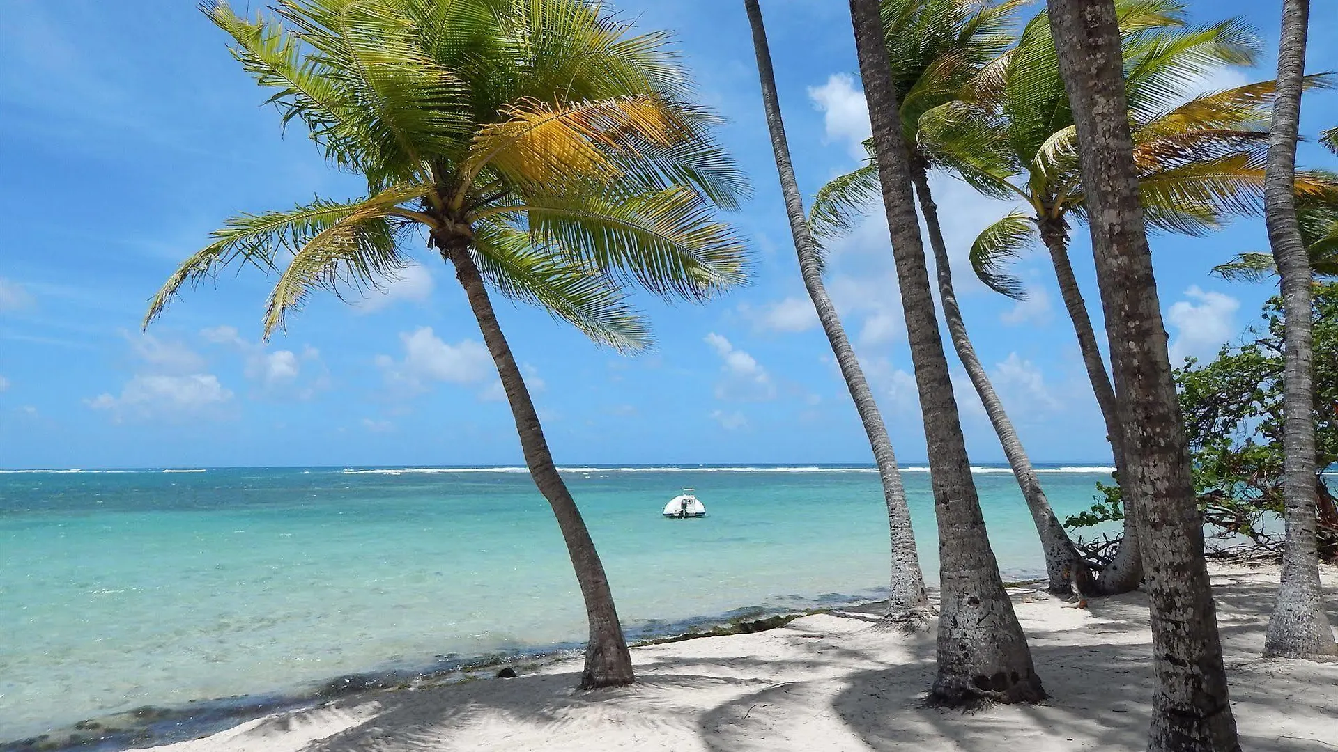 Hotel Le Rotabas Sainte-Anne  Guadeloupe