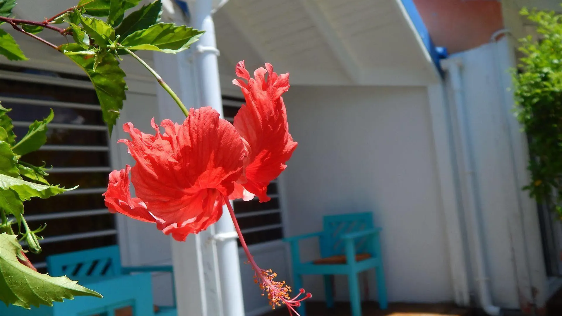 Hotel Le Rotabas Sainte-Anne  2*, Sainte-Anne (Grande-Terre) Guadeloupe
